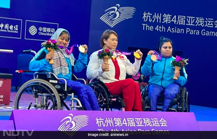 हांग्जो एशियाई पैरा गेम्स 2023 में पदक जीतने वाले पैरा एथलीटों पर एक नजर