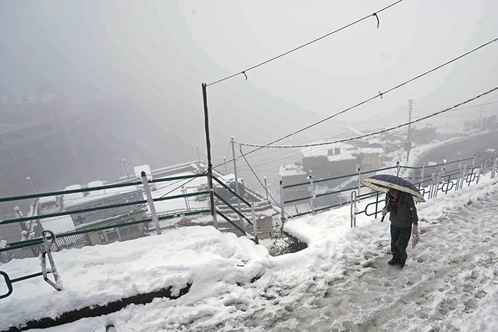 बर्फबारी के बाद शिमला की खूबसूरती ने सबका दिल जीत लिया, देखिए तस्वीरें