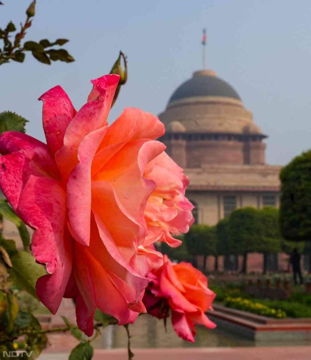 अमृत उद्यान में घूमने के लिए फ्री एंट्री है और इसके लिए ऑनलाइन बुकिंग की व्यवस्था की गई है. ऑनलाइन समय‑स्लॉट के आधार पर टिकट बुक कर सकते हैं