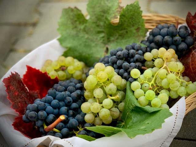 अंगूर खाने के कमाल के फायदे