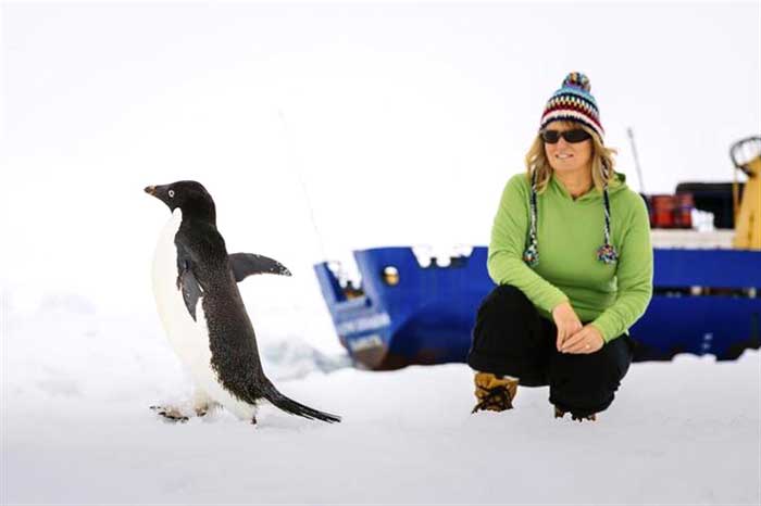 Barbara Tucker, a passenger aboard the trapped ship, looks at an Adelie penguin walking by on the ice off East Antarctica on December 29, 2013.