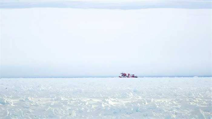 The Xue Long (Snow Dragon) Chinese icebreaker sits in the ice pack unable to get through to the Akademik Shokalskiy, in East Antarctica on December 28, 2013.