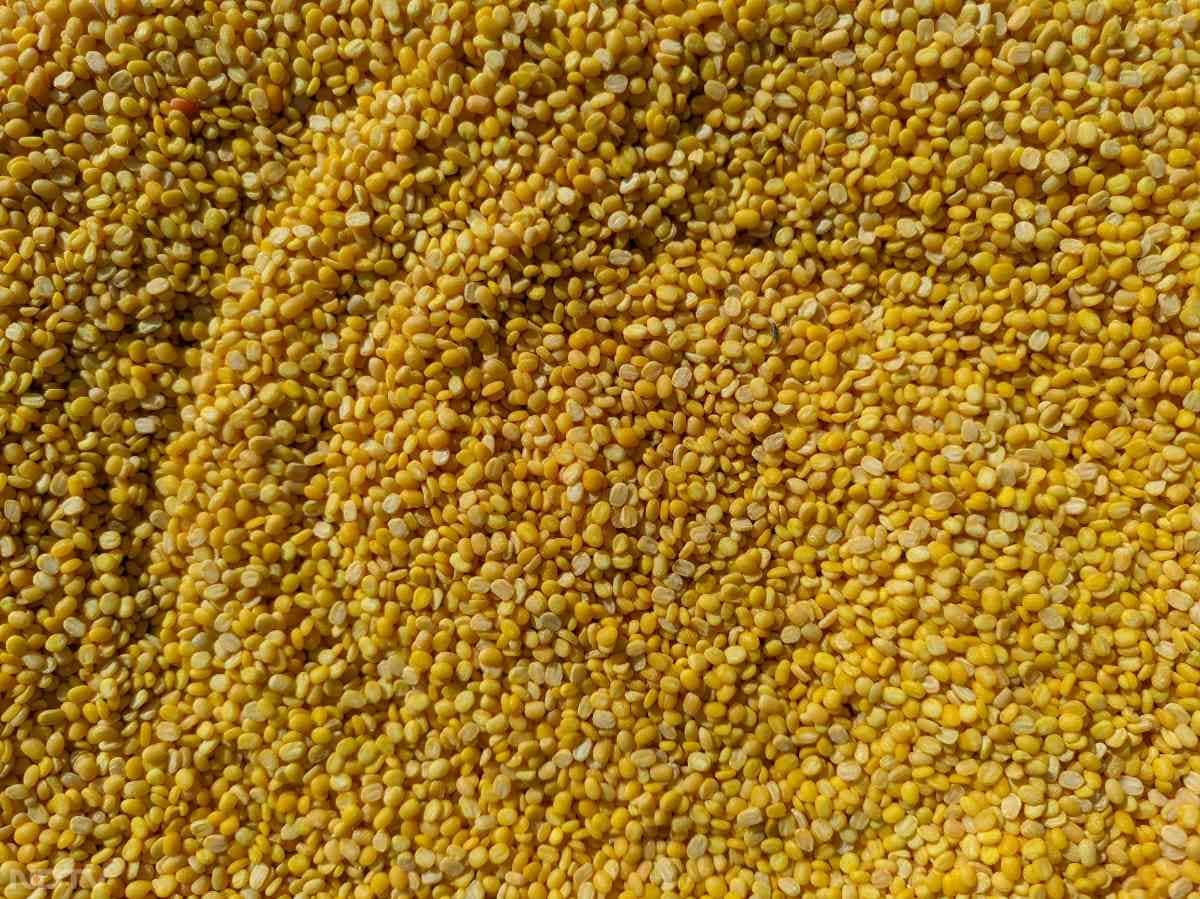 फिर इसे मूंग दाल, अदरक और सब्जियों के साथ पकाएं.