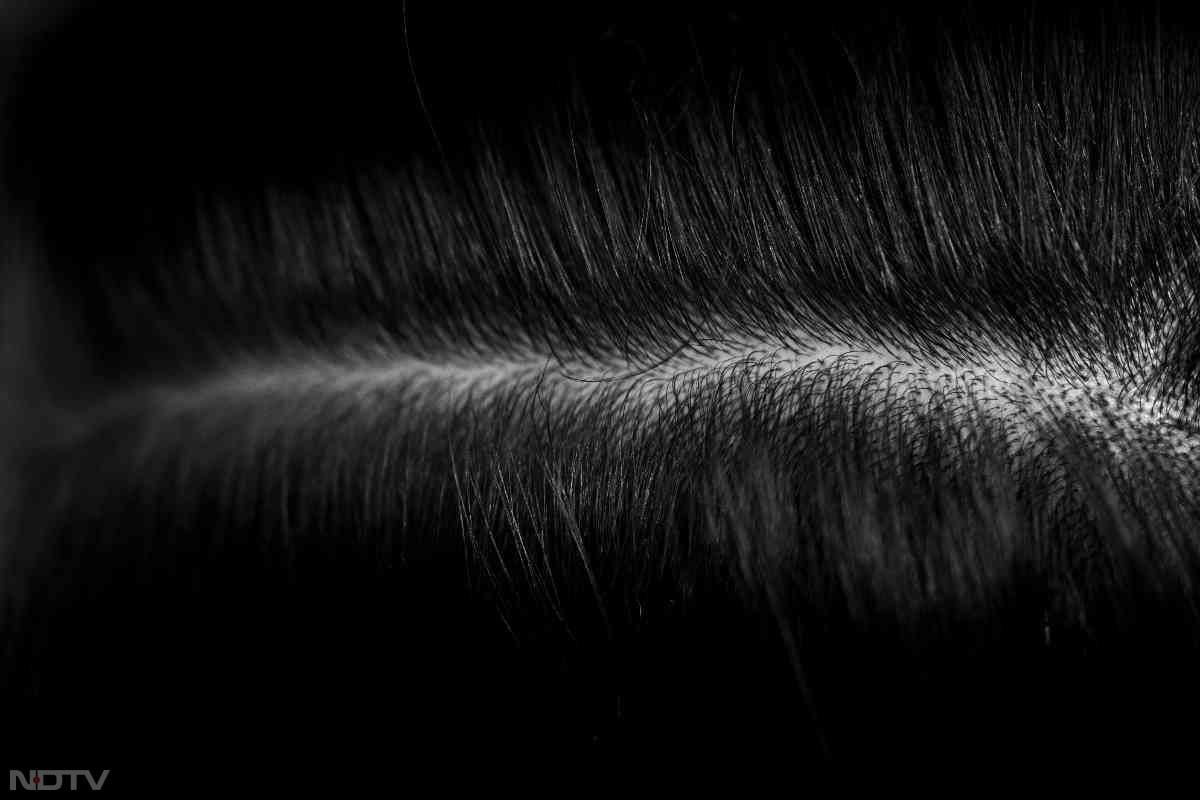 नियमित तेल मालिश से स्कैल्प स्वस्थ बना रहता है.