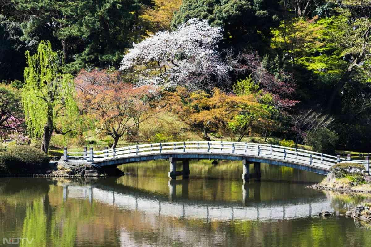 शिंजुकु ग्योएन गार्डन (Shinjuku Gyoen Garden): यह बगीचा जापानी, फ्रेंच और इंग्लिश स्टाइल का सुंदर मिश्रण है। शांत माहौल में सैर के लिए परफेक्ट जगह है.