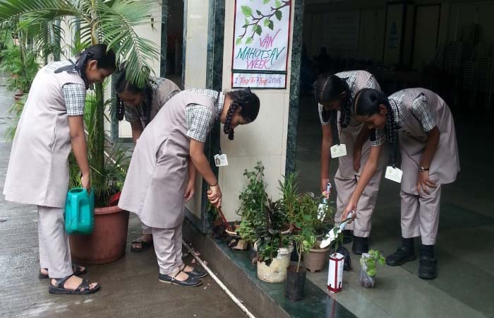 As part of the Behtar India campaign, the principal of Farooq High School For Girls conducted a tree plantation drive for two days, and urged all the students to plant more for a greener tomorrow.