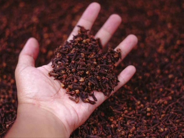 लौंग खाने के फायदे और नुकसान