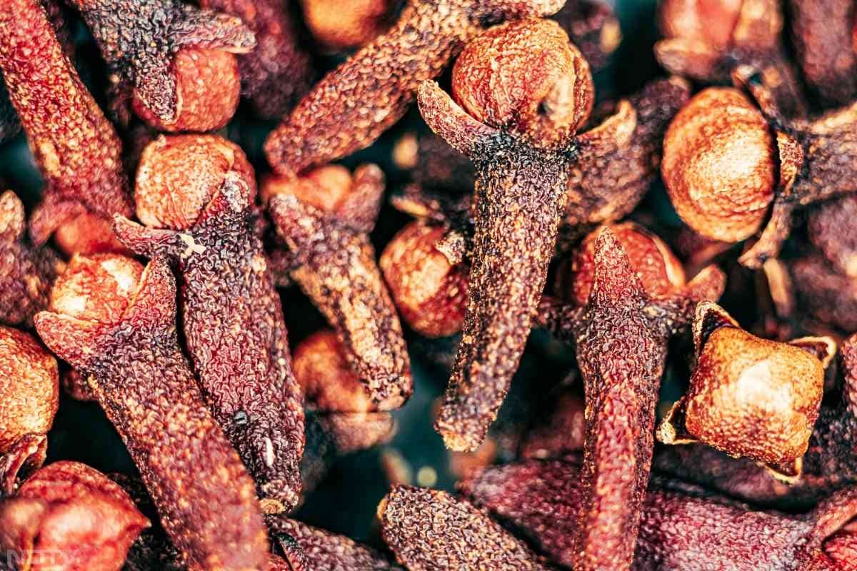 लौंग में मौजूद एंटीबैक्टीरियल गुण मुंह के बैक्टीरिया को खत्म करते हैं और सांसों को ताजगी देते हैं. Pic Credit- Pexels