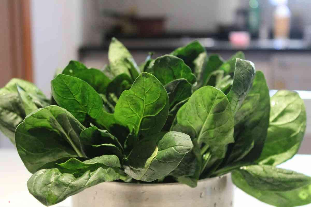 पालक - पालक में मौजूद आयरन, मैग्नीशियम और विटामिन C, खून में ऑक्सीजन बढ़ाकर शरीर को एनर्जी देता है.