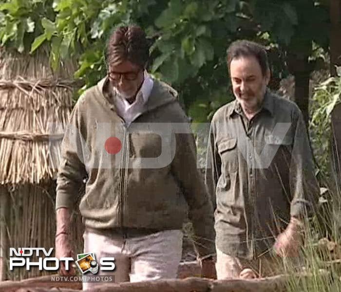 Amitabh Bachchan spearheads NDTV Aircel Save Our Tigers telethon