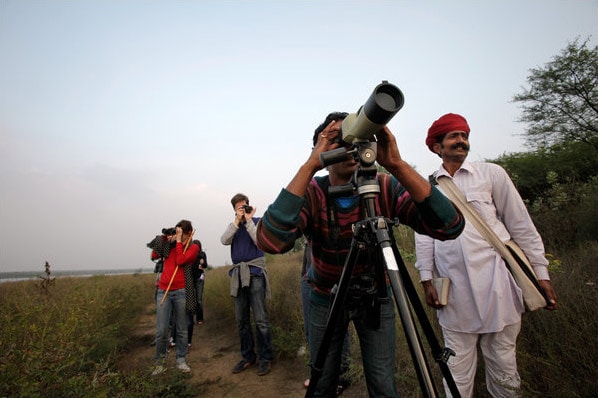 An assistant helps a bird watching enthusiast and other guests find birds at Chhatra Sagar. (Courtesy: NYT)