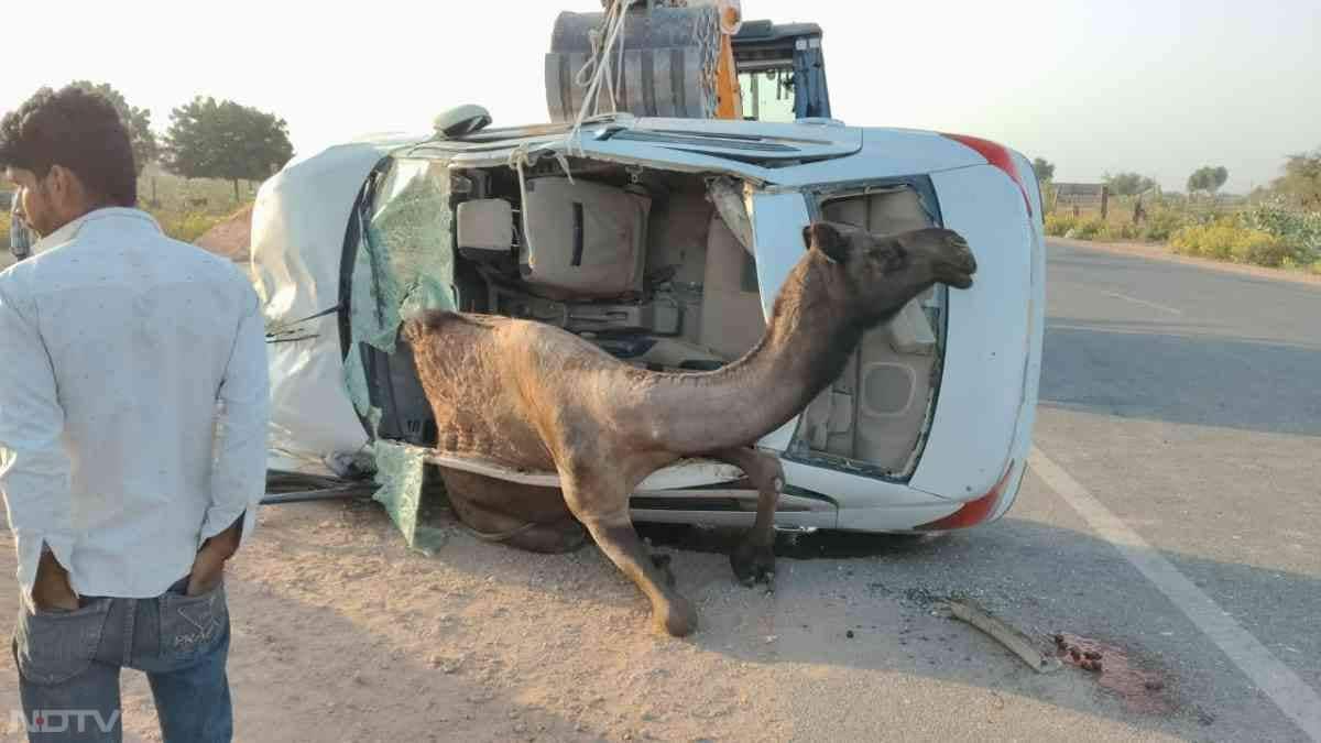 यह हादसा कोलू पाबूजी के पास हुआ. बताया जा रहा है कि कार जोधपुर निवासी रामसिंह चला रहे थे, जिन्हें इस हादसे में गंभीर चोटें आईं.