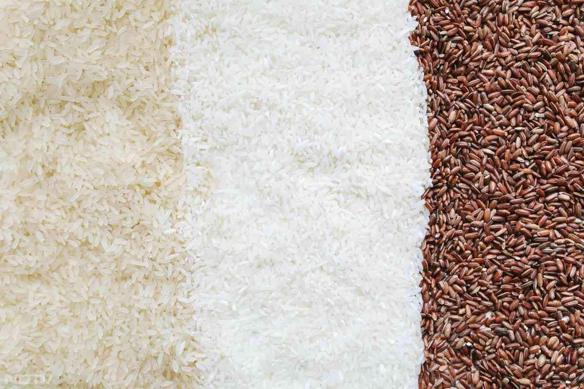 ब्लैक राइस में मौजूद एंथोसायनिन पाया जाता है जिससे दिमागी बीमारियों से बचाव होता है.