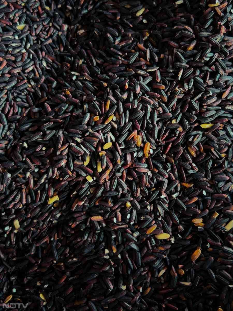 ब्लैक राइस खाने से वजन भी नियंत्रित रहता है.