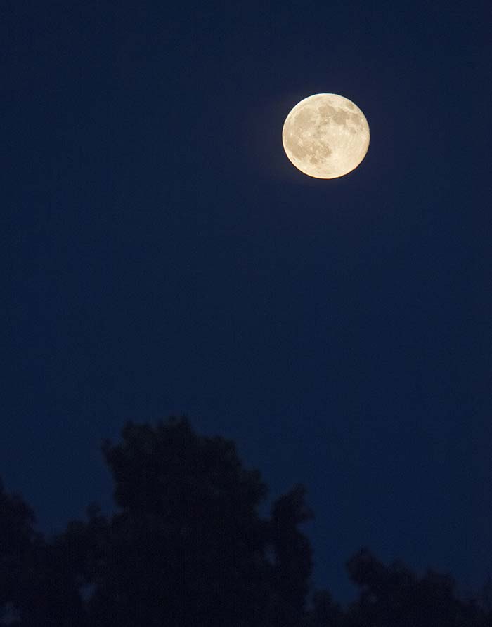 Rare \'Blue Moon\' Makes an Appearance on July 31