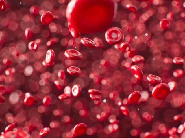 बॉडी में खून की कमी दूर करें इन चीज़ों से