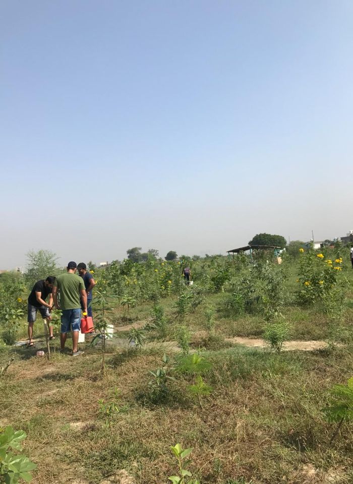 #SwachhIndia Cleanathon: Clean-Up Activities Across India