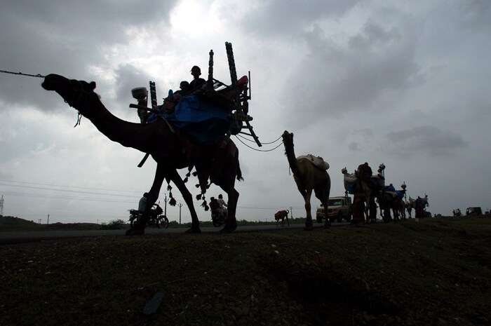 A surfer has sent this photo from Gujarat.
