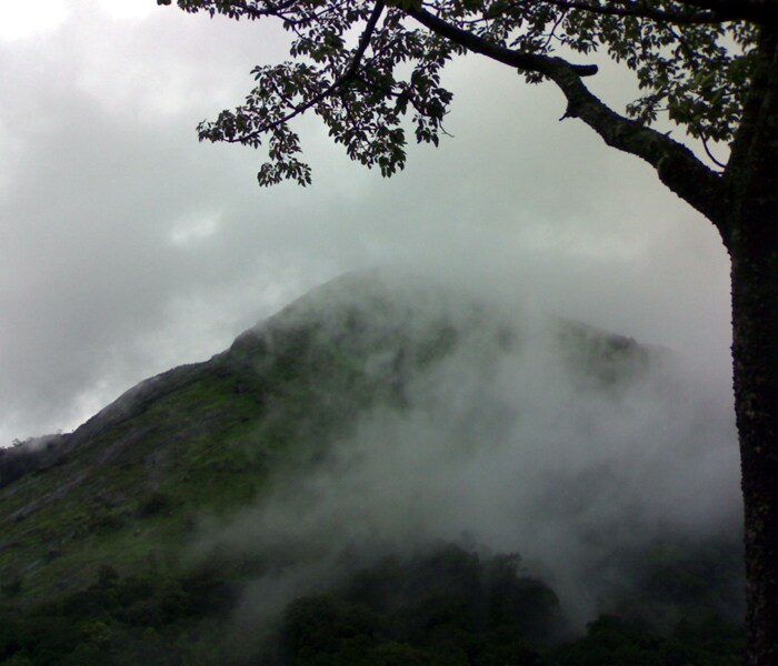 Sajeeb Nalakath has sent this photo from Kadavallur, Thrissur, Kerala.