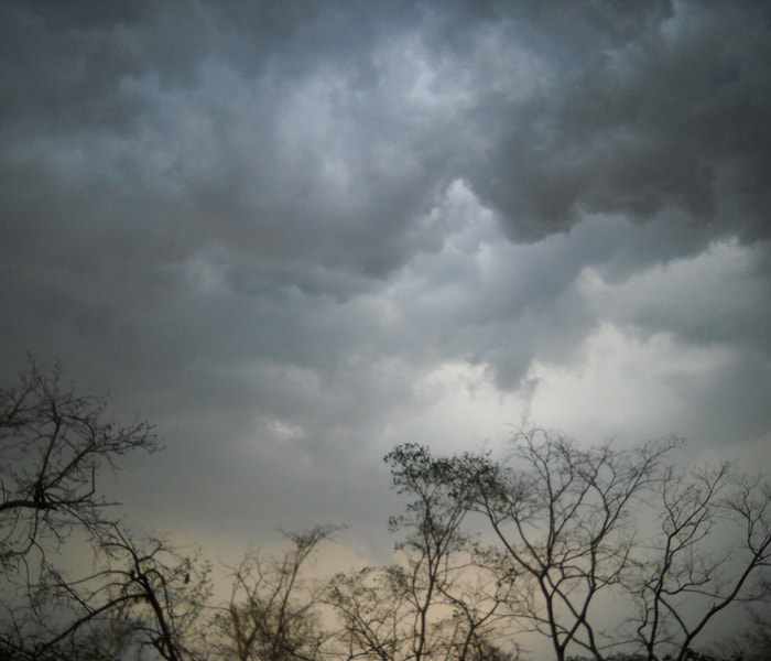 Saroj Mahato has sent this photo from Chakradharpur.