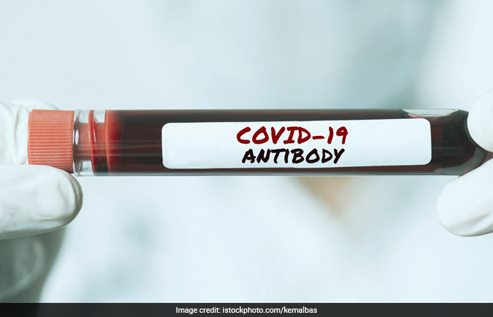 What Are Antibodies And How Do They Help Fight COVID-19?