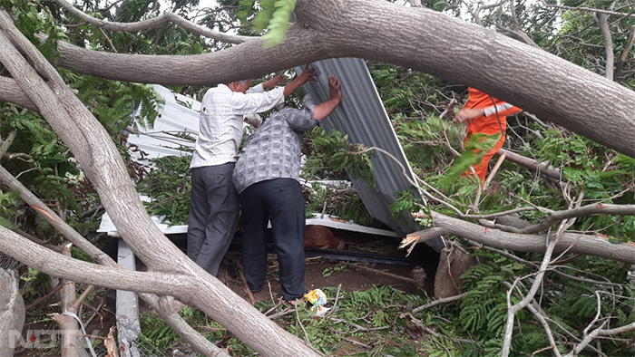 Cyclone Biporjoy: तूफान बिपरजॉय से गुजरात के जामनगर में हुआ काफी नुक्सान, देखें तस्वीरें