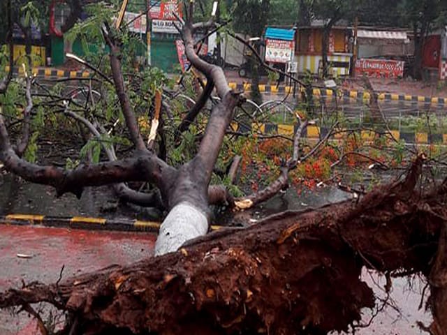Photo : Cyclone Fani ओडिशा में समुद्री तट से टकराया, कई जगह पेड़ उखड़े, कई घरों की छतें उड़ीं