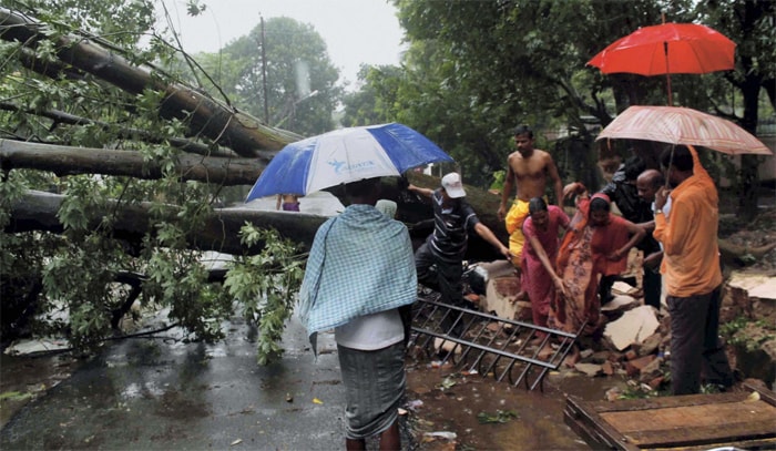 People remove a tree which fell on a house in Bhubaneswar after Cyclone Phailin hit Odisha.