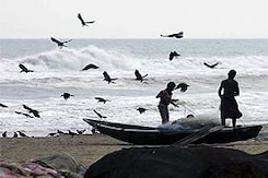 Cyclone Phailin: Odisha on high alert Cyclone Phailin: Odisha on high alert