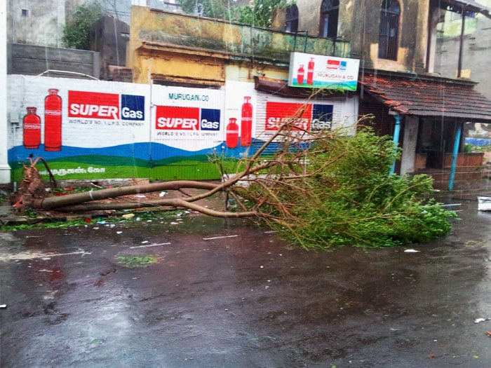 After the landfall, the cyclone moved further westward and weakened rapidly into a deep depression and lay centered at about 100 km west of Cuddalore, the regional weather office said.