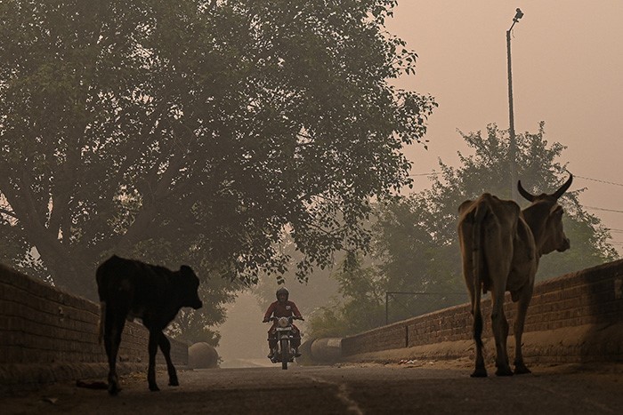 Delhi Air Pollution Off The Charts Morning After Diwali