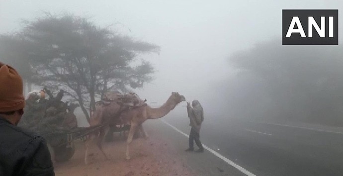 राजस्थान के सीकर में कोहरे की वजह से दृश्यता कम हो गई.