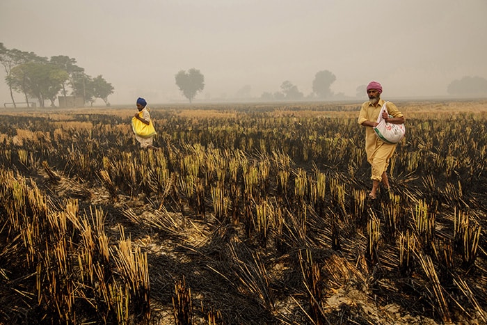 In Pictures: From Punjab\'s Burning Fields To Choking Delhi