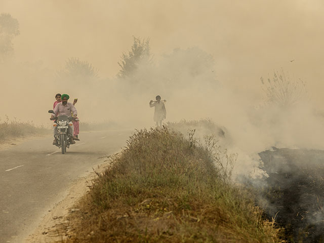 In Pictures: From Punjab's Burning Fields To Choking Delhi