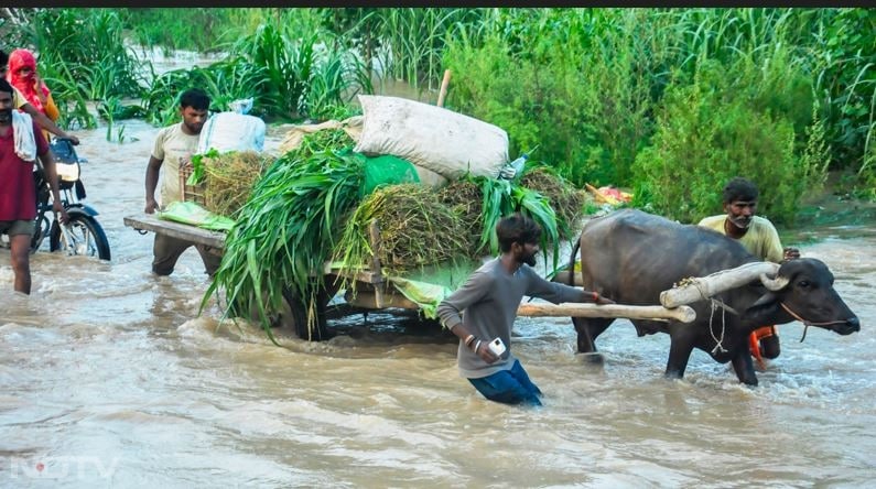 यूपी के मुरादाबाद में भी बारिश से हालात खराब हैं. कई इलाकों में पानी कमर तक भरा हुआ है.