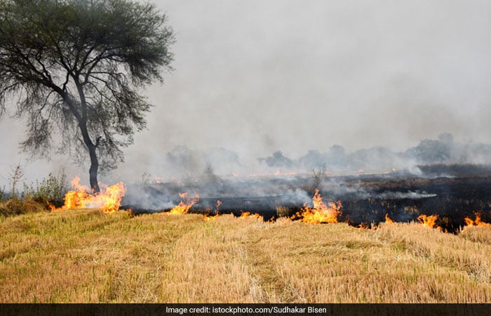 Here\'s How A Waste Warrior From Nagpur Is Saving 1,000 Trees Every Month And Preventing Stubble Burning