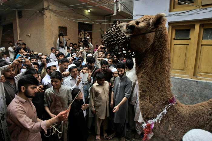 Eid celebrated with prayers, feasts across the world