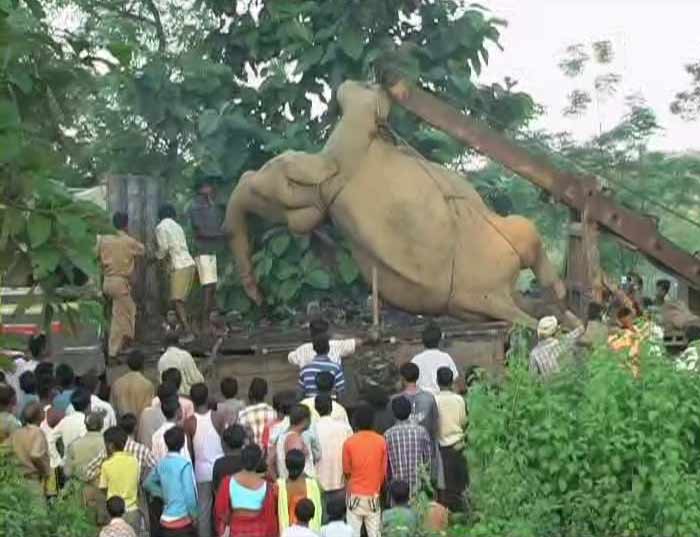 On September 22, seven elephants were killed and one injured when a speeding goods train hit the animals while they were crossing the railway tracks near Binnaguri in Jalpaiguri district of West Bengal.<br><br>Late on Wednesday night, five elephants were killed on the spot late while two others succumbed to their injuries this morning.