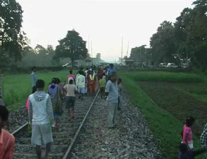 The accidents involving elephants had increased after conversion of the tracks from meter gauge to broad gauge.<br><br>"Elephants are intelligent. When the tracks were metre gauge, only a couple of passenger trains ran in a day which the elephants knew about and they avoided the tracks at such times. Since the tracks have been converted to broad gauge, goods trains pass through at different times of the day, which has confused the pachyderms about train timings, leading to an increase in the number of accidents on the railway tracks passing through elephant corridors,? said Raha.