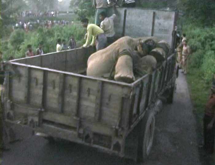 Forest Minister Ananta Roy said that the Railways were not cooperating with the Forest Department "as it is insensitive to the issue."<br><br>The Principal Chief Conservator of Forests, Atanu Raha, said that they have requested the  Railways  many times to restrict the speed of the passing trains to 20 kmph in the Elephant Corridor, but have received no response so far.<br><br>The train, he said, was moving so fast that it dragged an elephant a distance of 200 metres from the spot.