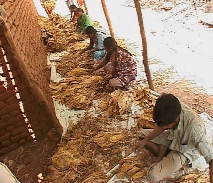 Erratic electricity - supplied for only two hours a day in Karnataka - made Mahadev depend only on rains that came too late. Tobacco being a weather-sensitive crop failed, and so the money he got could hardly repay his loans. (NDTV Photo)