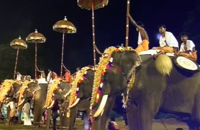 A procession of elephants is used in the folk dances presented by the dancers and women of Kerela.