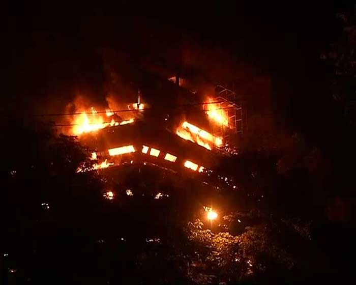 Delhi\'s National Museum Of National History Caught In Massive Fire: Pics