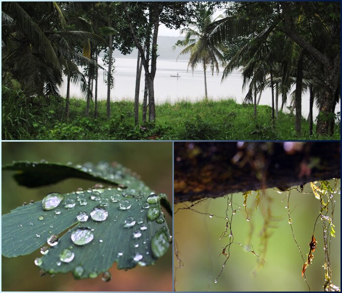 The southern region of India receives the first sight of the highly anticipated monsoons. Blankets of lush greenery, picturesque quaint villages and hypnotic local rain songs make south India a favorite tourist destination for Indian as well as international visitors.
<br><br>
The NDTV Monsoon Express team is traveling across the country to bring you the latest from the ground.
<br><br>
?Monsoon Express is not just our attempt at chasing the monsoon; it's also my journey to reclaim the romance of the rains that I lost a few years ago due to the monsoon mayhem in the concrete jungles of Mumbai. It's a discovery of the magic of the monsoon that's peeping from behind the trees and hiding beneath the leaves?, said Ketki Angre, a member of the Monsoon Express team.
<br><br>
We bring you first glimpses of the much awaited season through the Monsoon Express team's lens.