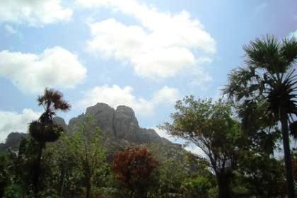 <b>Lovely Kerala:</b> A combination of hills with natural scenic beauty is any nature lover's dream.(Image: Naghma Sahar)