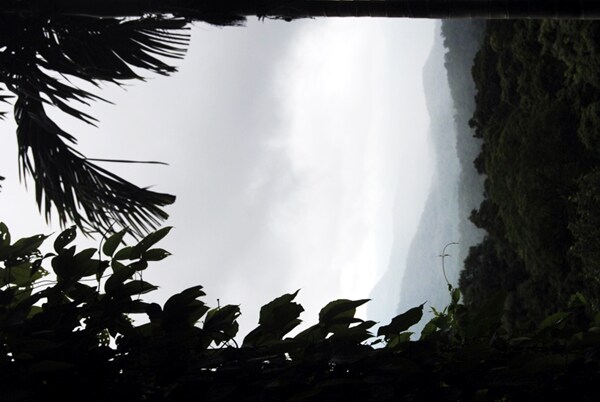 <b>Walking into light: </b>A silhouette view of the dense hill forests. (Image: Ketki Angre)