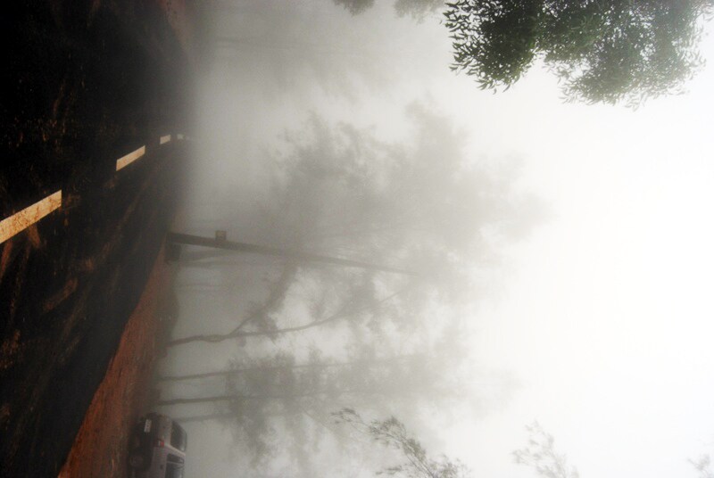 <b>Walk in the clouds: </b>A road covered with clouds. (Image: Ketki Angre)