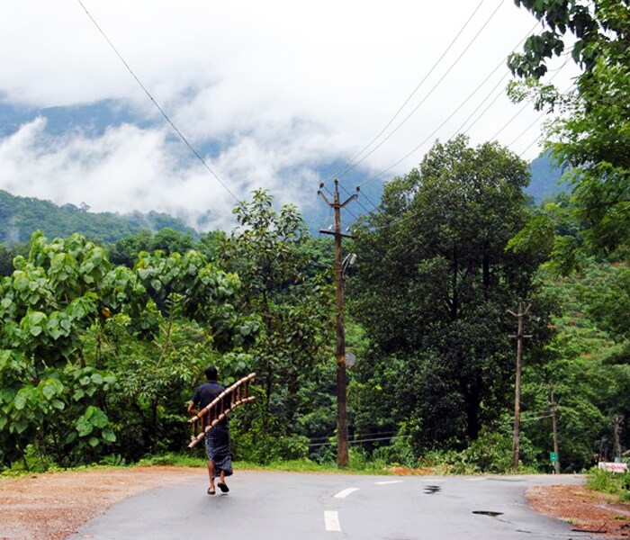 <b>Walk in the woods:  </b>A local carries a ladder on an empty road. (Image: Ketki Angre)