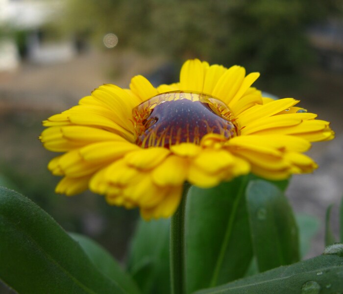 G.V.Archana has sent this photo from New Delhi.