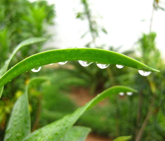 S.Nookala has sent this photo from Chennai.